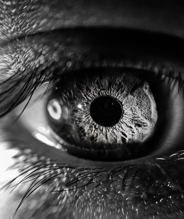 Black and White zoom in of an eye